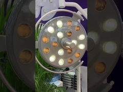 Лампа стула больницы ветеринарная зубоврачебная, свет 28В используемый в зубоврачебном стуле